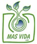 Imagen33